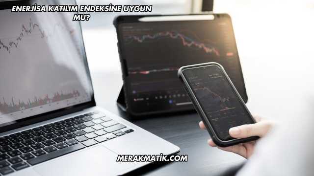 Enerjisa Katılım Endeksine Uygun mu?