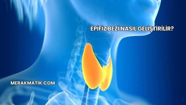 Epifiz Bezi Nasıl Geliştirilir?