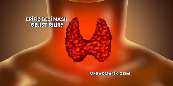 Epifiz Bezi Nasıl Geliştirilir?