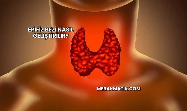 Epifiz Bezi Nasıl Geliştirilir?