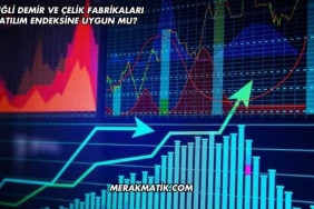 Ereğli Demir ve Çelik Fabrikaları Katılım Endeksine Uygun mu?