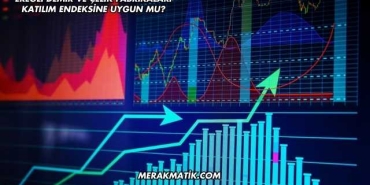 Ereğli Demir ve Çelik Fabrikaları Katılım Endeksine Uygun mu?