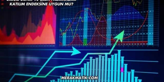 Ereğli Demir ve Çelik Fabrikaları Katılım Endeksine Uygun mu?