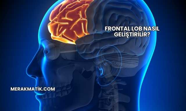 Frontal Lob Nasıl Geliştirilir?