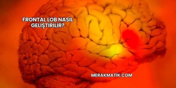 Frontal Lob Nasıl Geliştirilir?