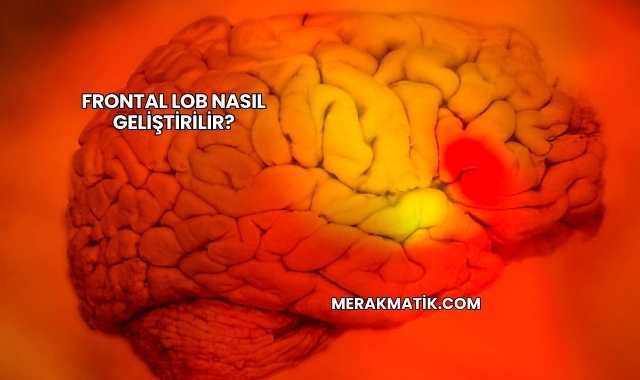 Frontal Lob Nasıl Geliştirilir?