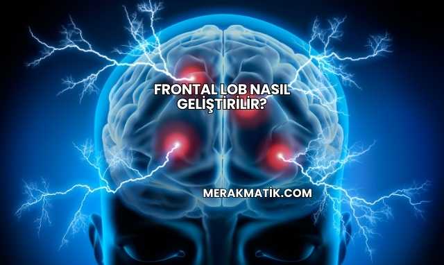 Frontal Lob Nasıl Geliştirilir?