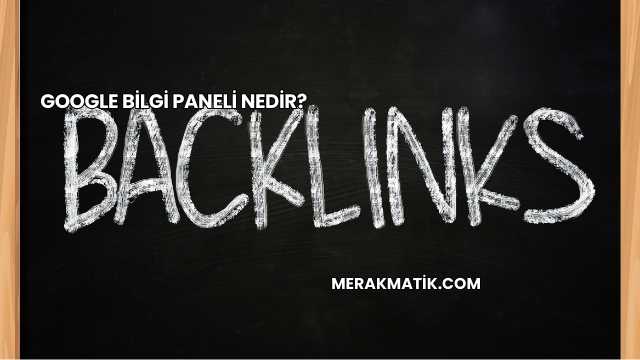 Google Bilgi Paneli Nedir?