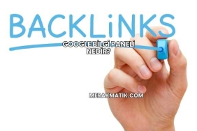 Google Bilgi Paneli Nedir?