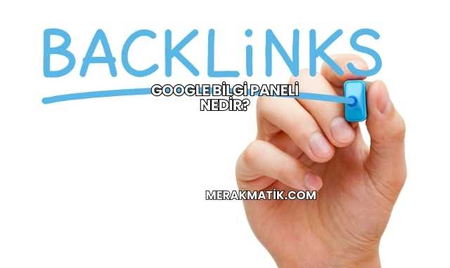Google Bilgi Paneli Nedir?