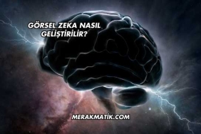 Görsel Zeka Nasıl Geliştirilir?