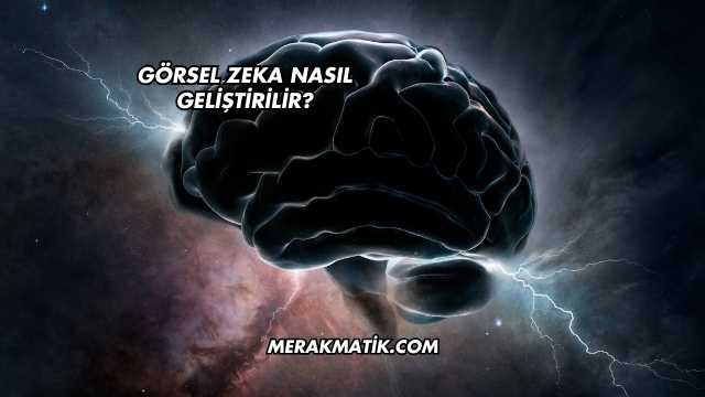 Görsel Zeka Nasıl Geliştirilir?