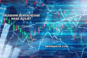 Halkbank Borsa Hesabı Nasıl Açılır?