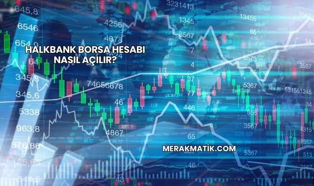 Halkbank Borsa Hesabı Nasıl Açılır?