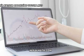 İzdemir Katılım Endeksine Uygun mu?