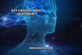 Kas Hafızası Nasıl Geliştirilir?