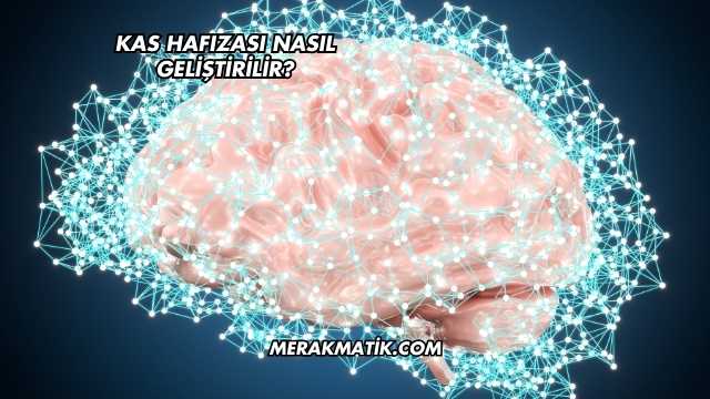 Kas Hafızası Nasıl Geliştirilir?