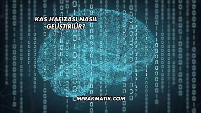 Kas Hafızası Nasıl Geliştirilir?