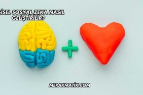 Kişisel Sosyal Zeka Nasıl Geliştirilir?
