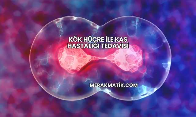 Kök Hücre ile Kas Hastalığı Tedavisi