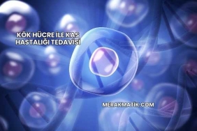 Kök Hücre ile Kas Hastalığı Tedavisi