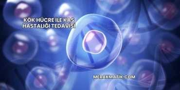 Kök Hücre ile Kas Hastalığı Tedavisi