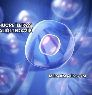 Kök Hücre ile Kas Hastalığı Tedavisi