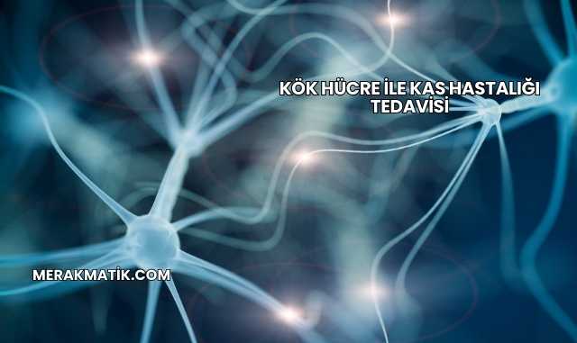 Kök Hücre ile Kas Hastalığı Tedavisi