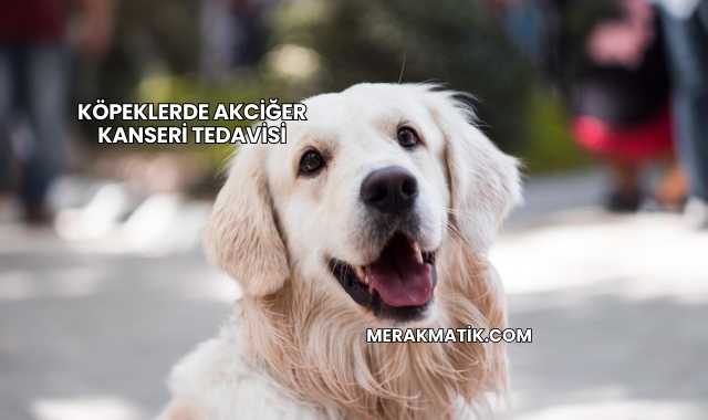 Köpeklerde Akciğer Kanseri Tedavisi