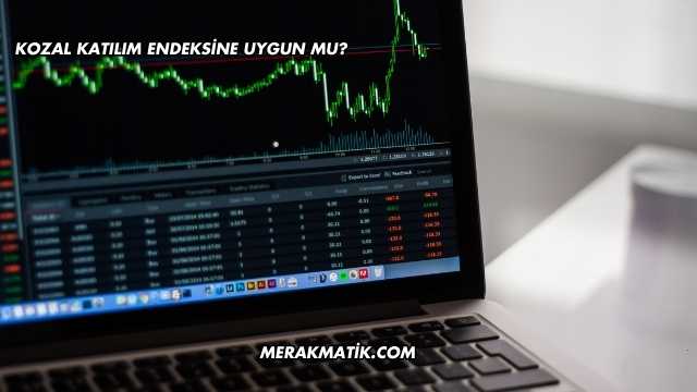 Kozal Katılım Endeksine Uygun mu?