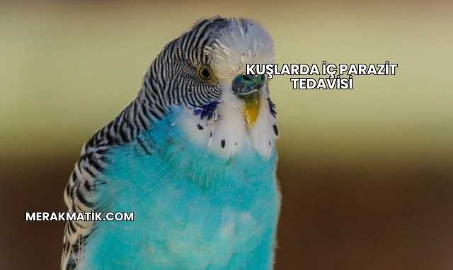 Kuşlarda İç Parazit Tedavisi