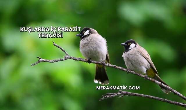 Kuşlarda İç Parazit Tedavisi