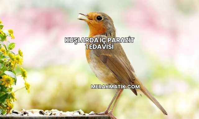 Kuşlarda İç Parazit Tedavisi