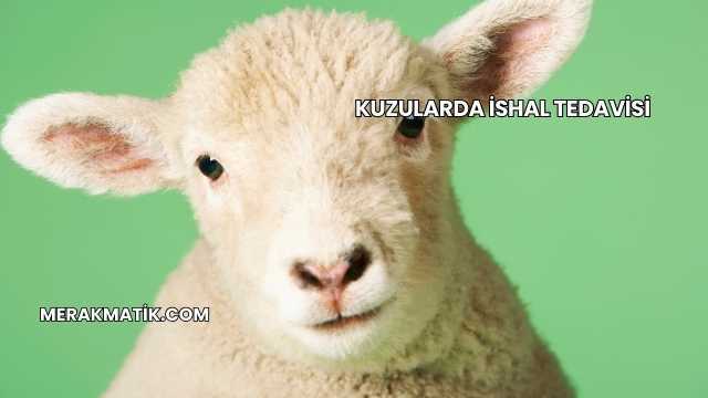 Kuzularda İshal Tedavisi