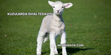 Kuzularda İshal Tedavisi