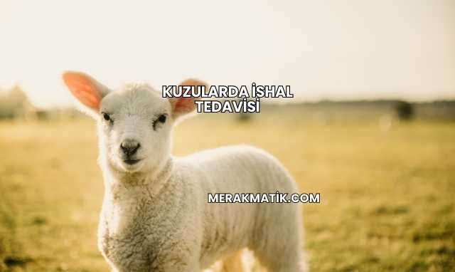 Kuzularda İshal Tedavisi