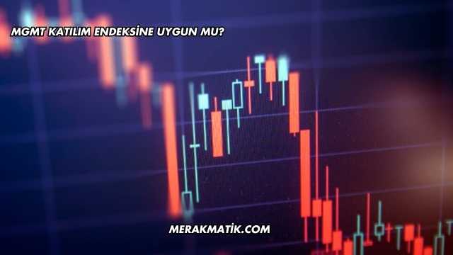 MGMT Katılım Endeksine Uygun mu?