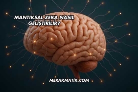 Mantıksal Zeka Nasıl Geliştirilir?