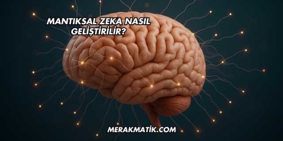 Mantıksal Zeka Nasıl Geliştirilir?
