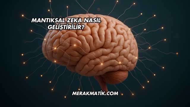 Mantıksal Zeka Nasıl Geliştirilir?