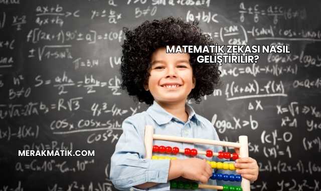 Matematik Zekası Nasıl Geliştirilir?