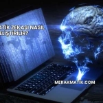 Matematik Zekası Nasıl Geliştirilir?