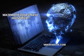 Matematik Zekası Nasıl Geliştirilir?