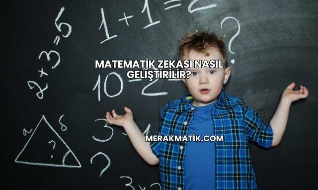 Matematik Zekası Nasıl Geliştirilir?