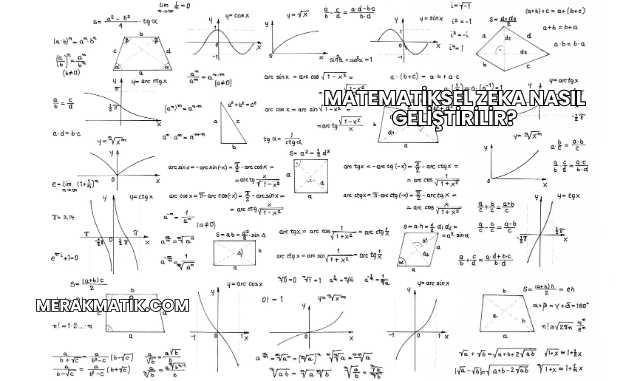 Matematiksel Zeka Nasıl Geliştirilir?