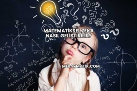 Matematiksel Zeka Nasıl Geliştirilir?