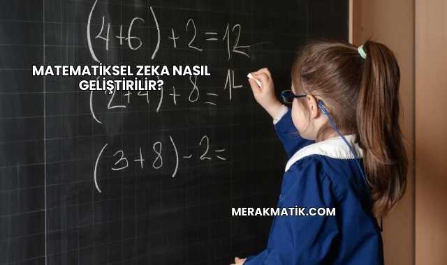 Matematiksel Zeka Nasıl Geliştirilir?