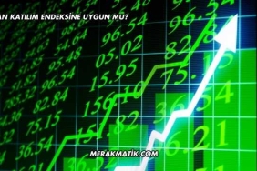 Mogan Katılım Endeksine Uygun mu?