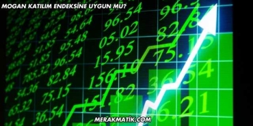 Mogan Katılım Endeksine Uygun mu?
