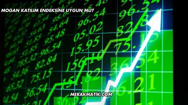 Mogan Katılım Endeksine Uygun mu?